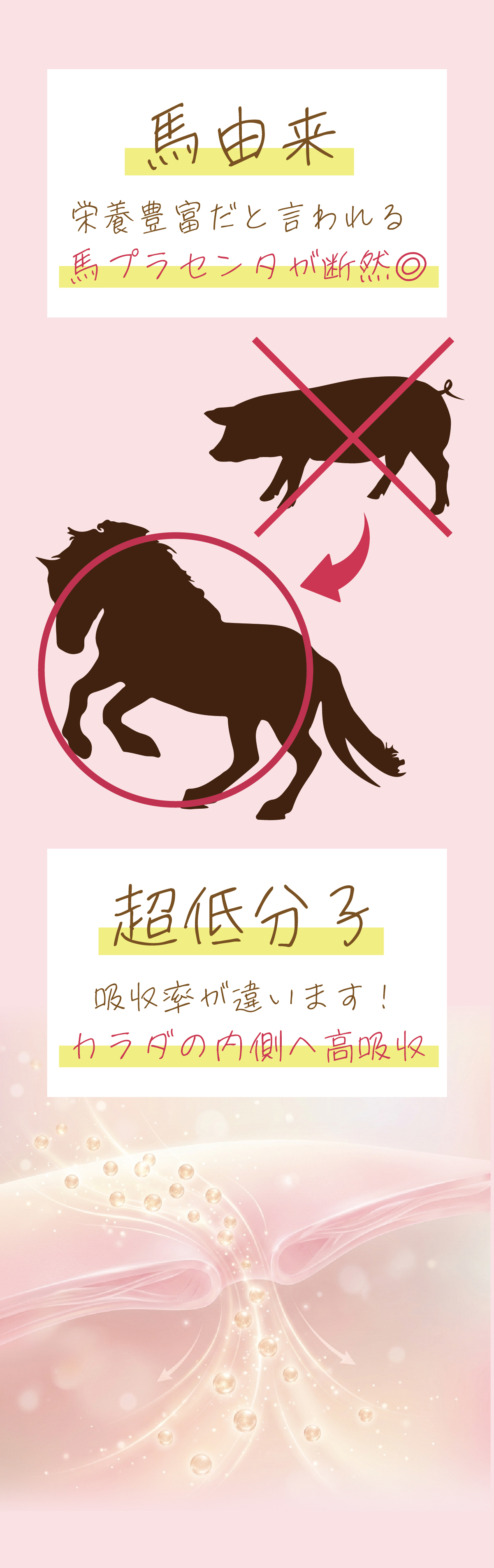 馬プラセンタ素材の特徴とこだわり